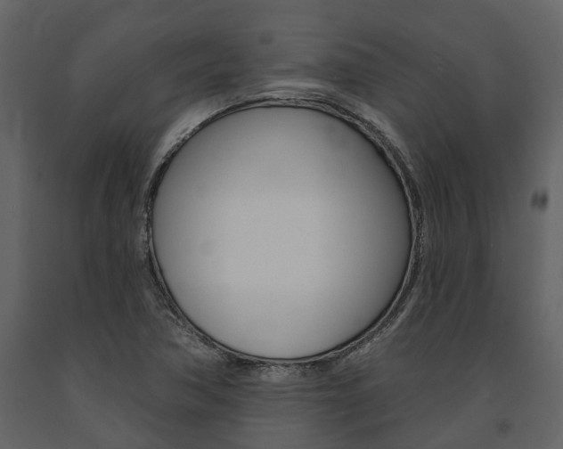 X0000091671362200708231004