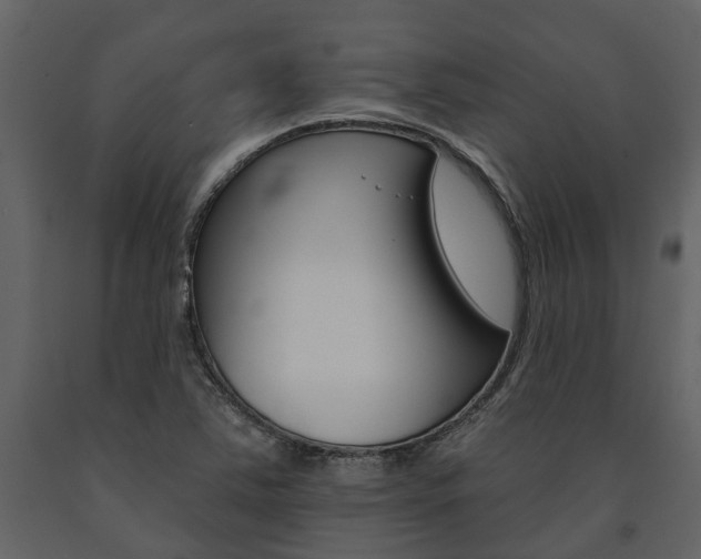 X0000091671363200708231004