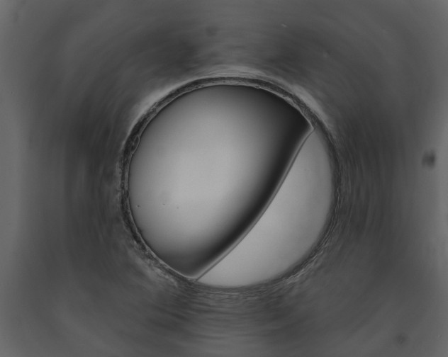 X0000091671364200708231004