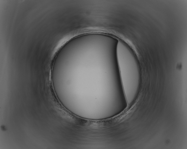 X0000091671365200708231004