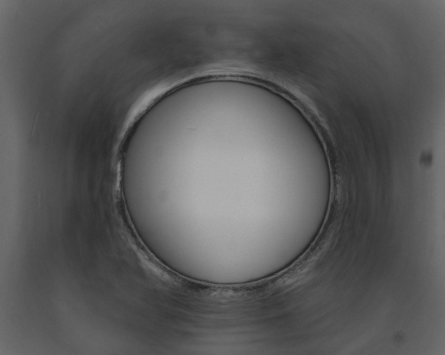 X0000091671366200708231004