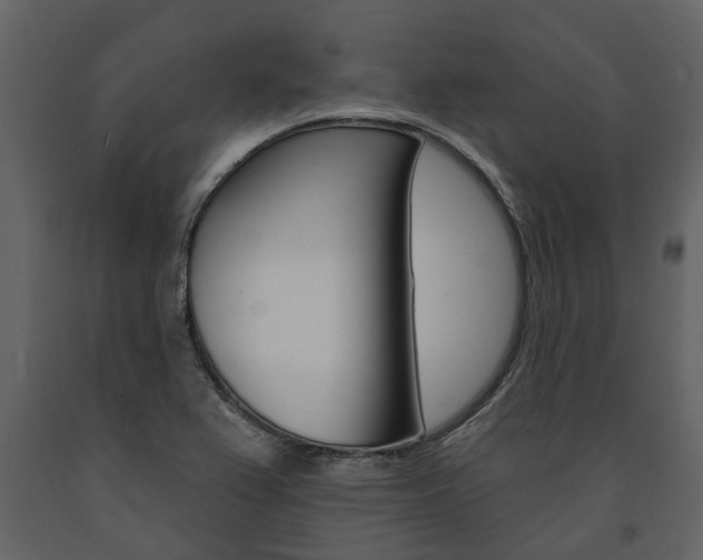 X0000091671367200708231004