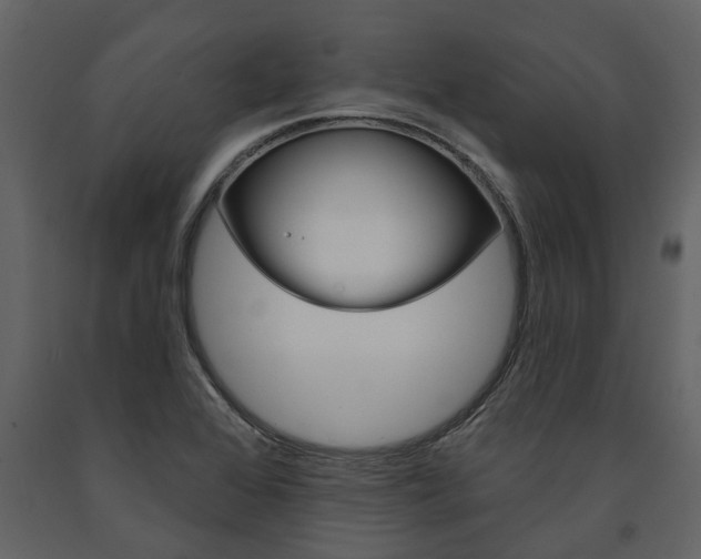 X0000091671368200708231004