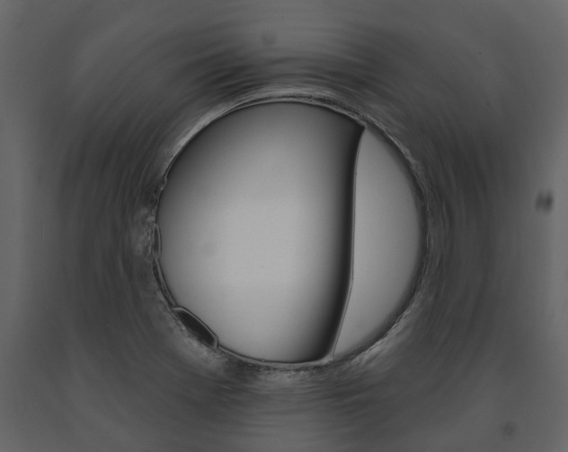 X0000091671369200708231004