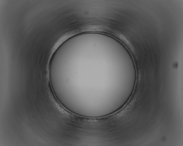 X0000091671370200708231004