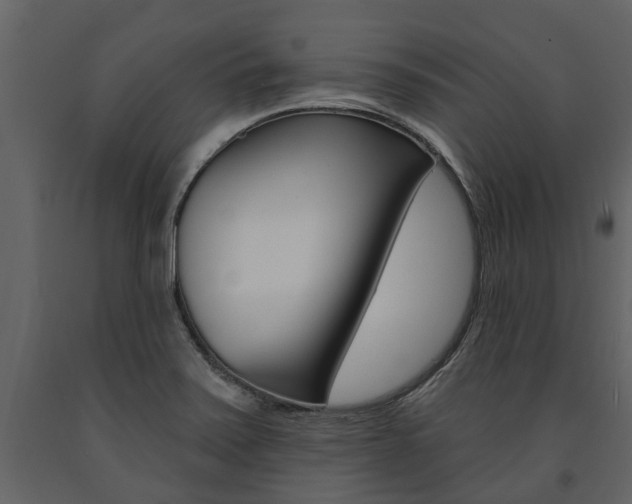 X0000091671371200708231004