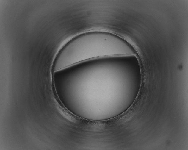 X0000091671372200708231004