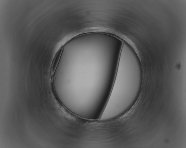 X0000091671373200708231004