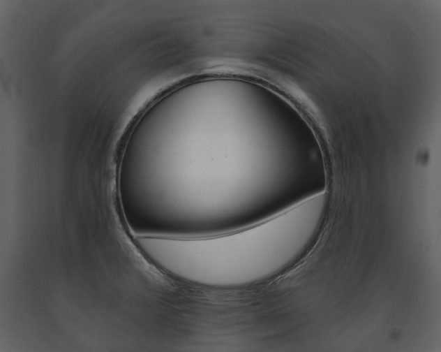 X0000091671376200708231004