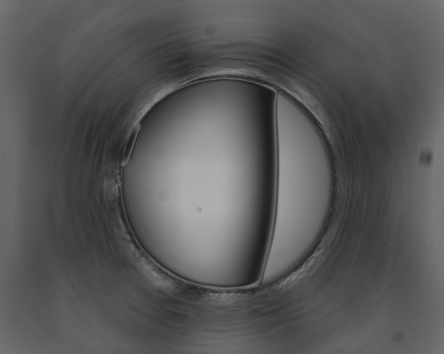 X0000091671377200708231004