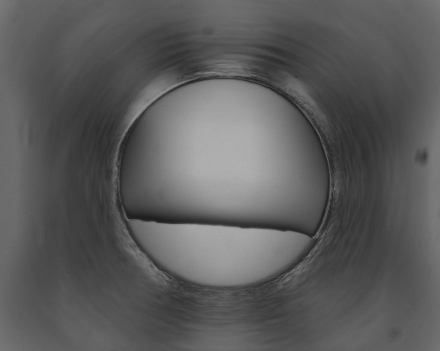 X0000091671378200708231004
