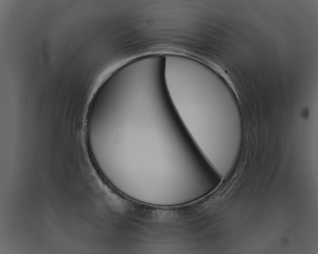 X0000091671379200708231004