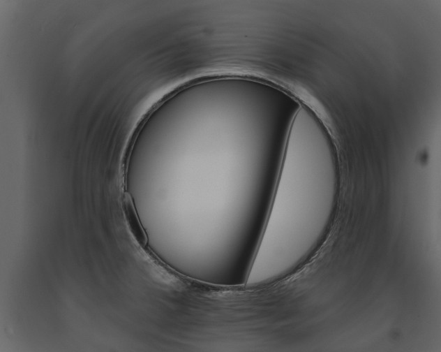 X0000091671380200708231004