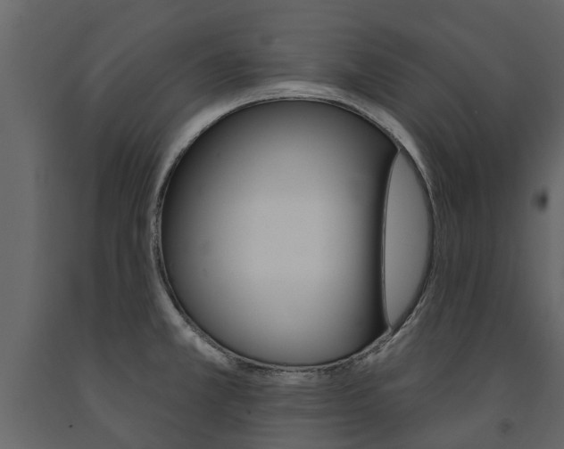 X0000091671381200708231004