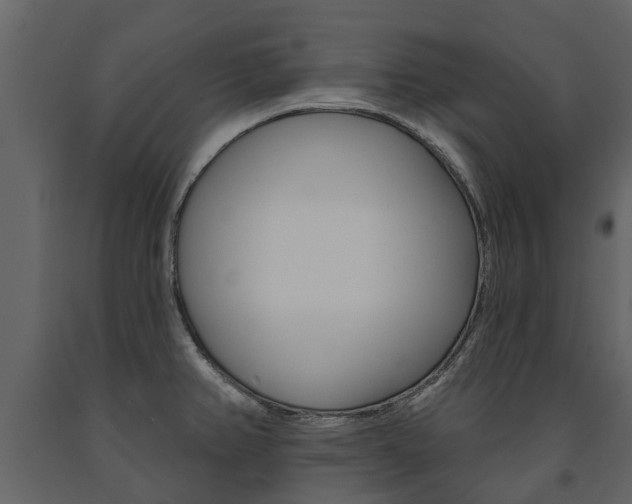 X0000091671382200708231004