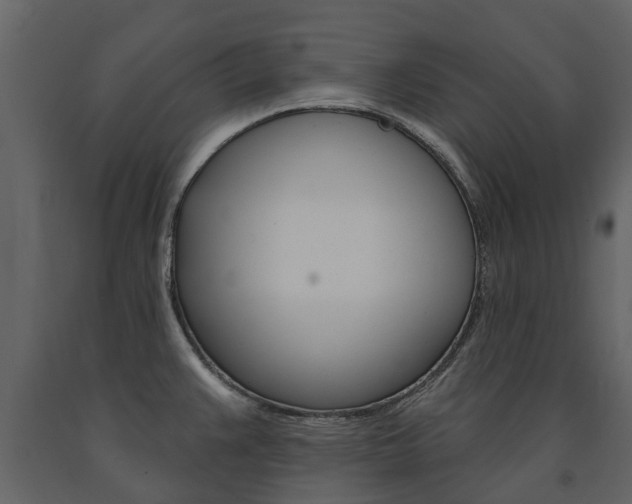 X0000091671383200708231004