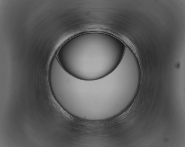 X0000091671384200708231004