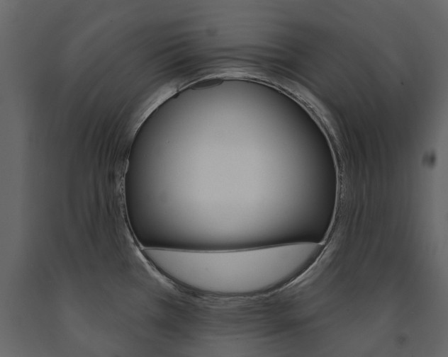 X0000091671385200708231004