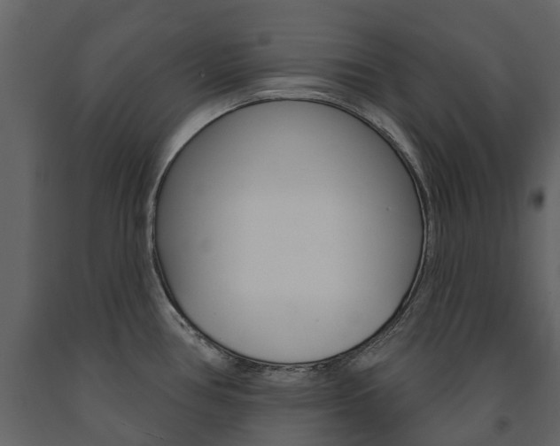 X0000091671386200708231004