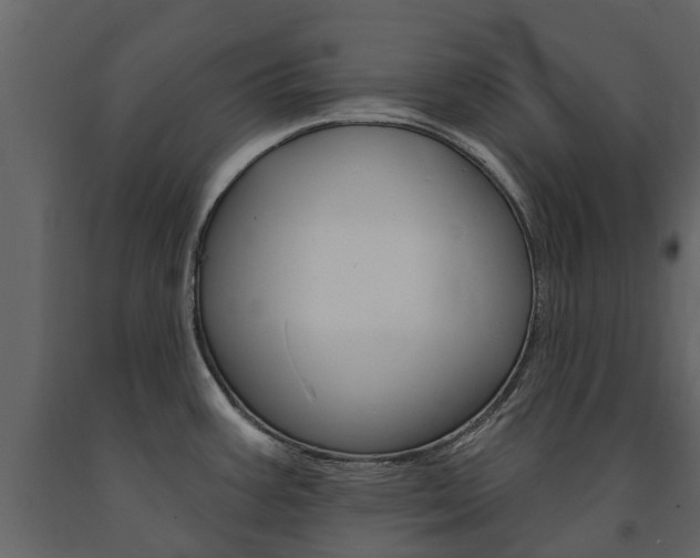 X0000091671387200708231004