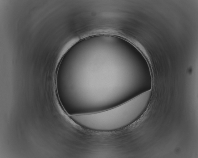 X0000091671389200708231004
