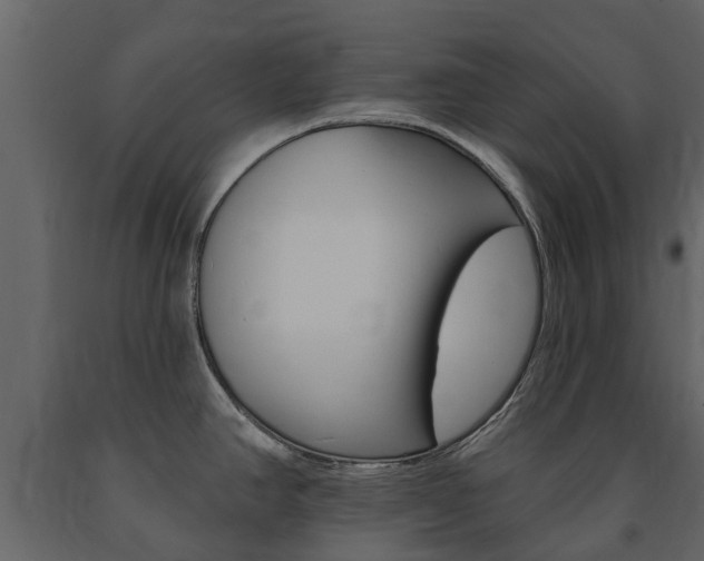 X0000091671390200708231004
