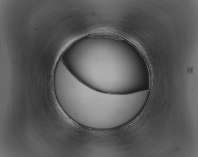 X0000091671392200708231004