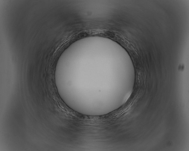 X0000091671393200708231003