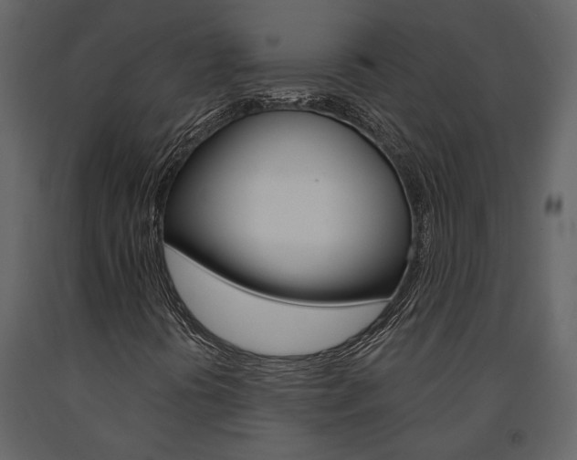 X0000091671394200708231003