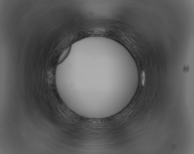 X0000091671395200708231003
