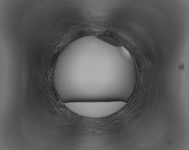 X0000091671397200708231003