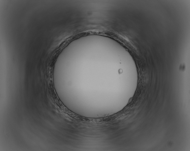 X0000091671399200708231003