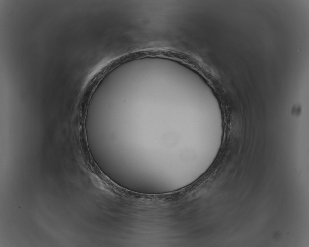 X0000091671400200708231003