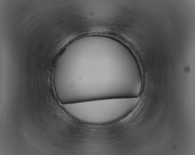 X0000091671401200708231003