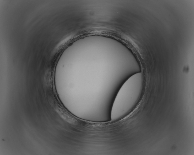 X0000091671403200708231003