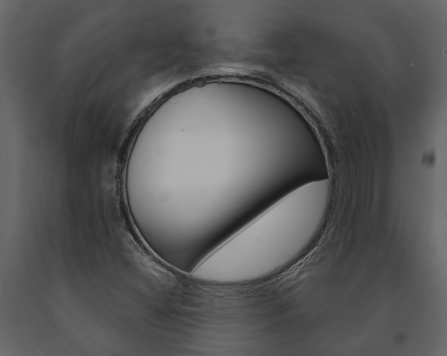 X0000091671404200708231003