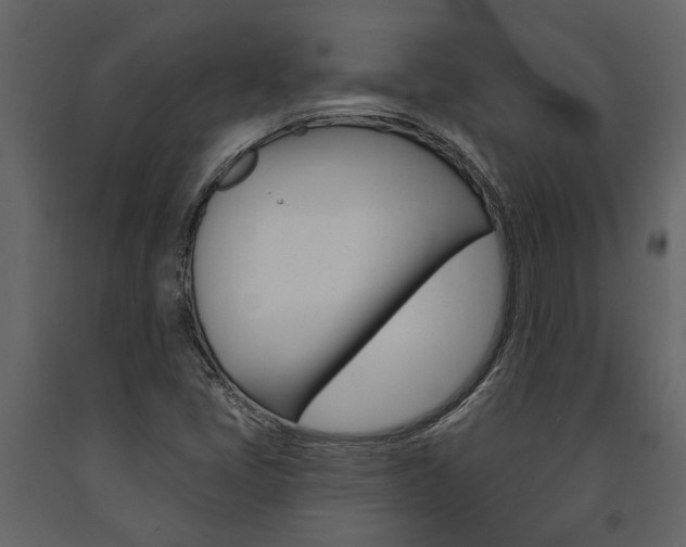 X0000091671405200708231003