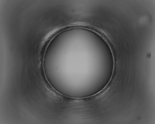 X0000091671406200708231003