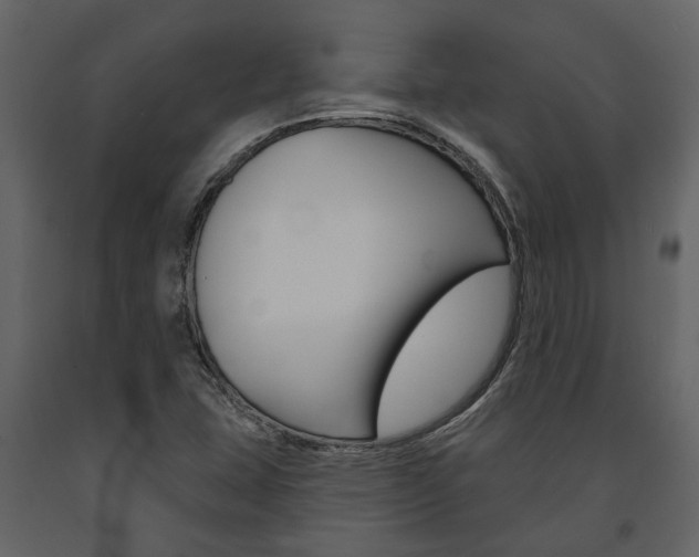 X0000091671407200708231003
