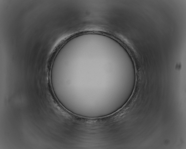 X0000091671408200708231003
