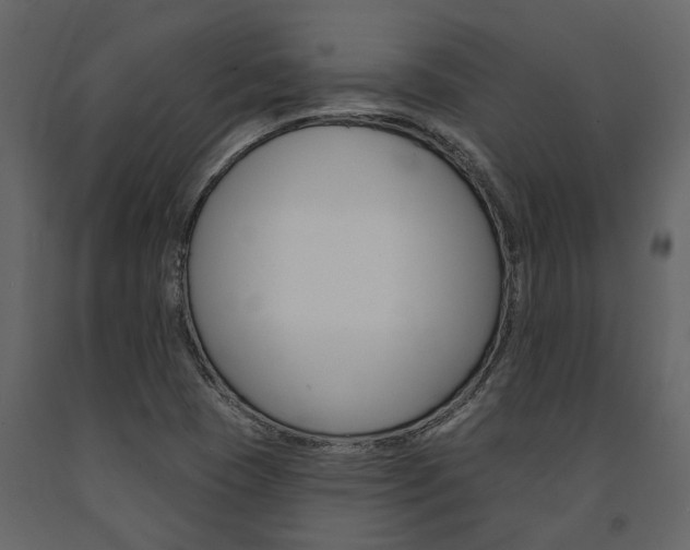 X0000091671409200708231003