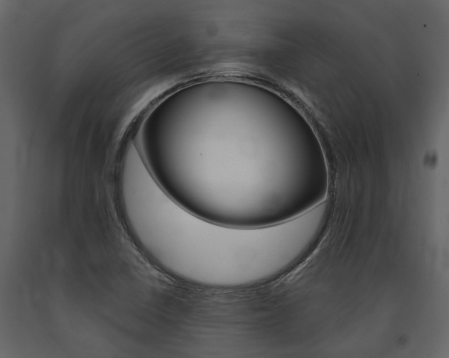 X0000091671410200708231003