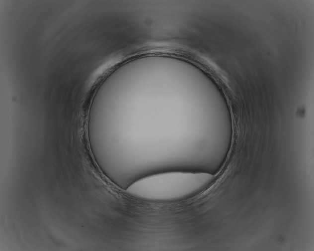 X0000091671411200708231003