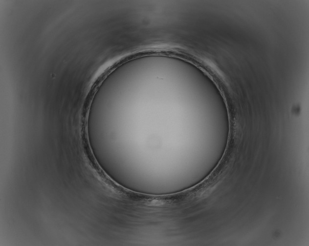 X0000091671412200708231003