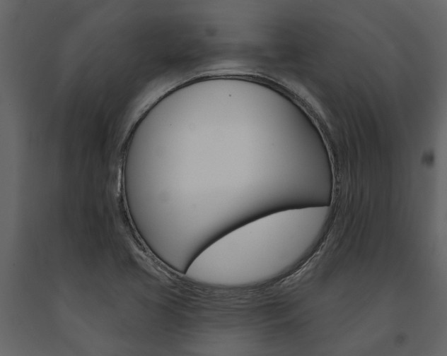 X0000091671413200708231003