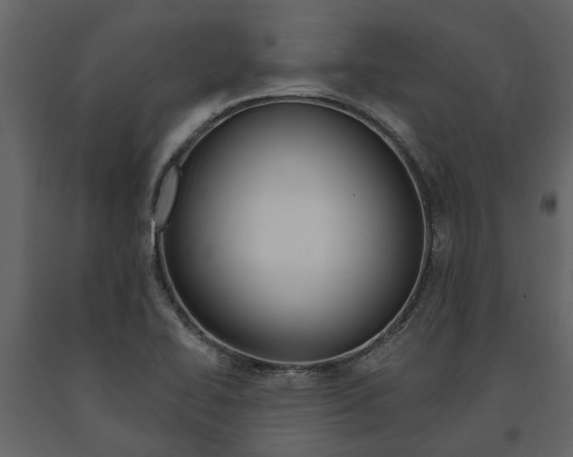 X0000091671414200708231003