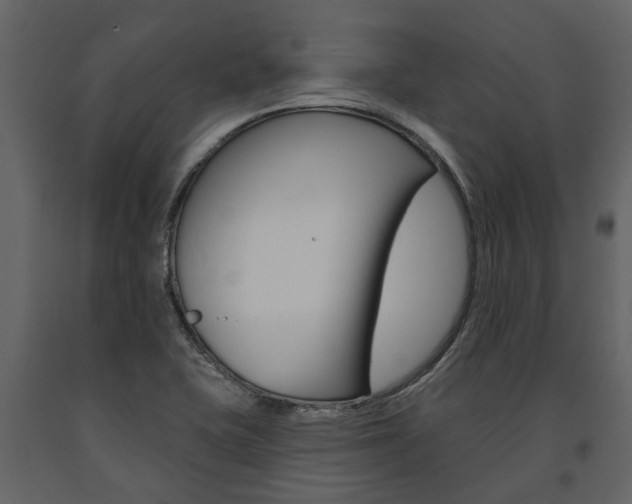 X0000091671415200708231003