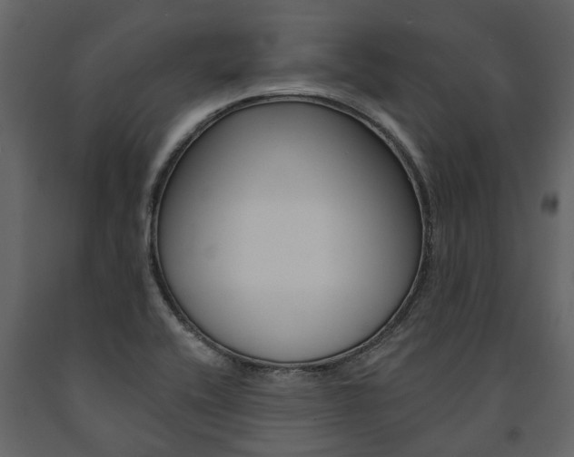 X0000091671416200708231003
