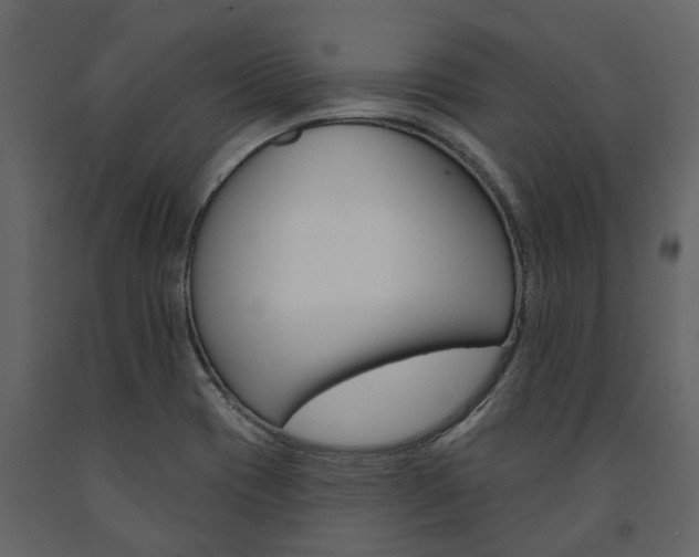 X0000091671417200708231003