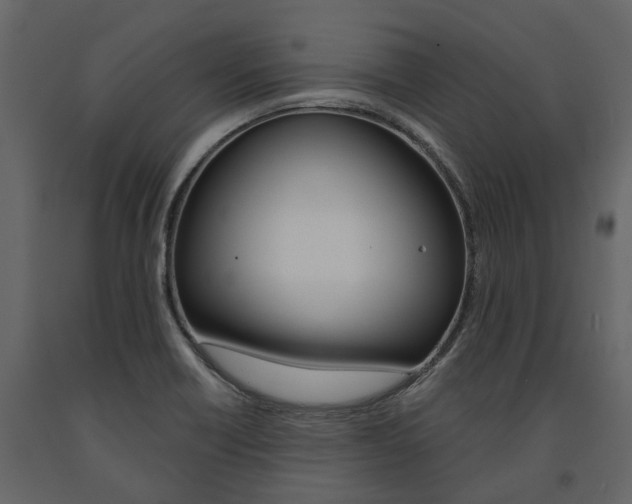 X0000091671418200708231003